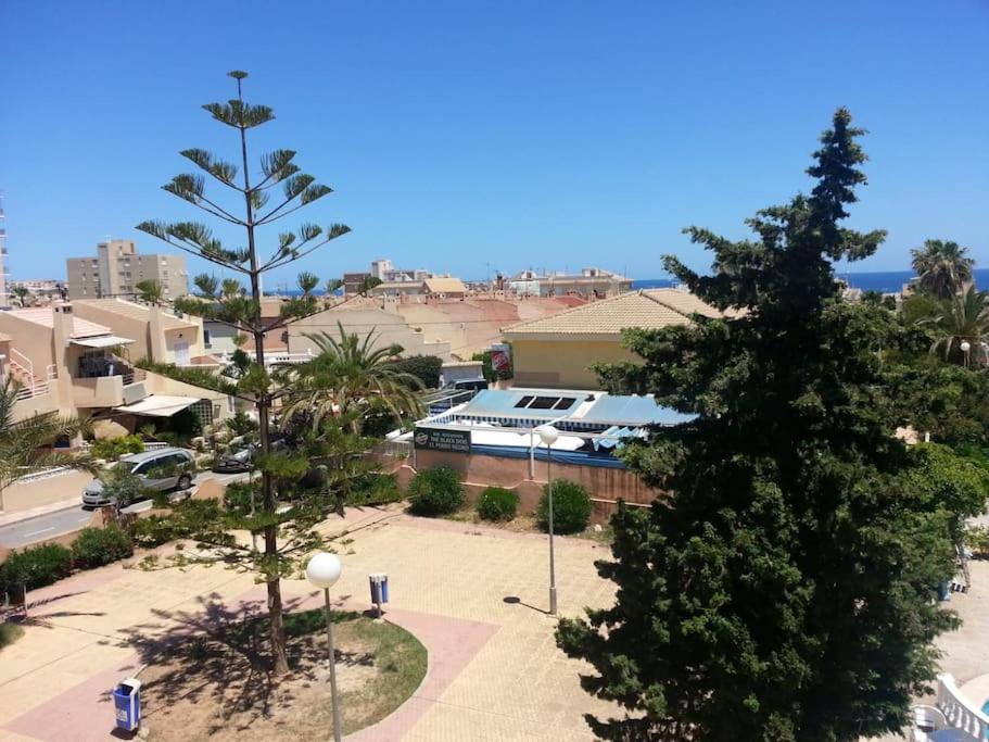 Estudio En Torrevieja A 700 M Del Mar Kültér fotó